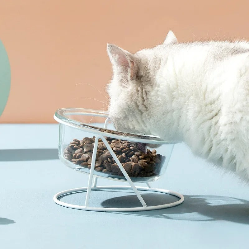 Cross shaped elevated pet bowl