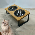 Fixed angle pet feeding bowl - double bowl